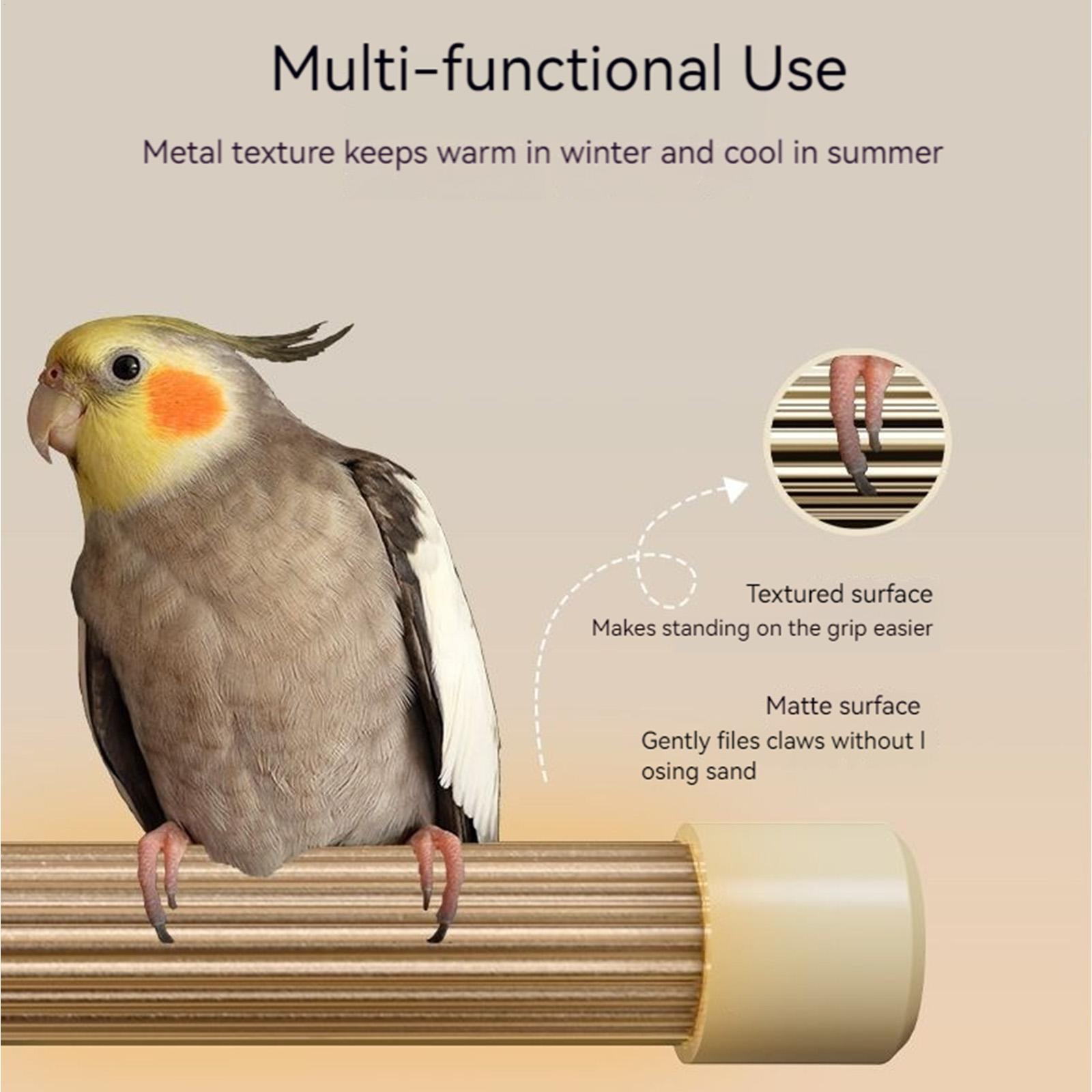 Bird Heating Perch Stand Warme - Patio Heater Standing review and price