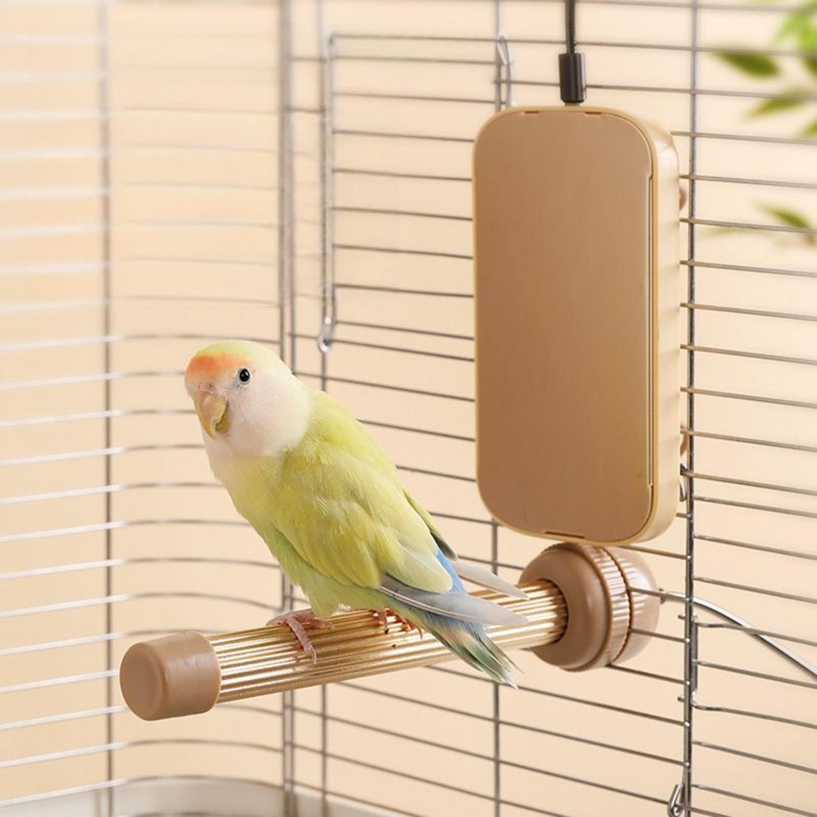 Bird Heating Perch Stand Warme - Patio Heater Standing review and price
